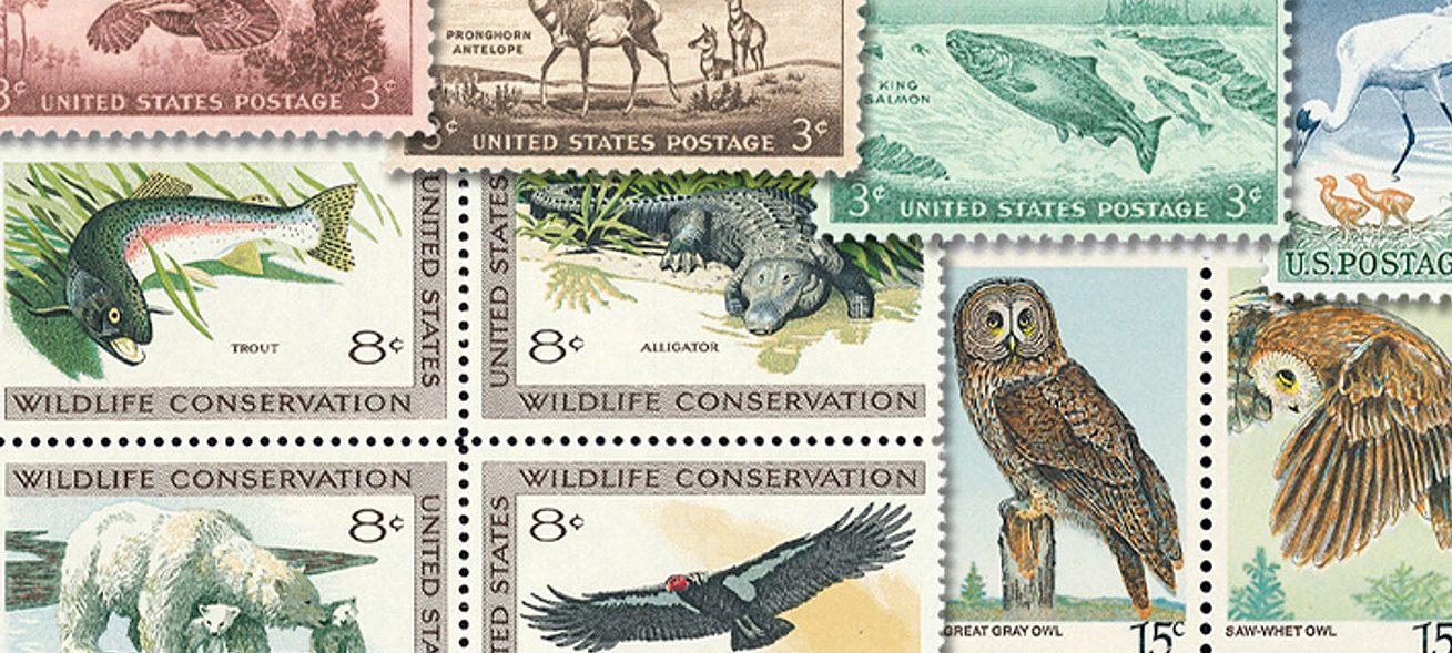 Wildlife Conservation