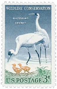 US #1098 1957 Whooping Crane