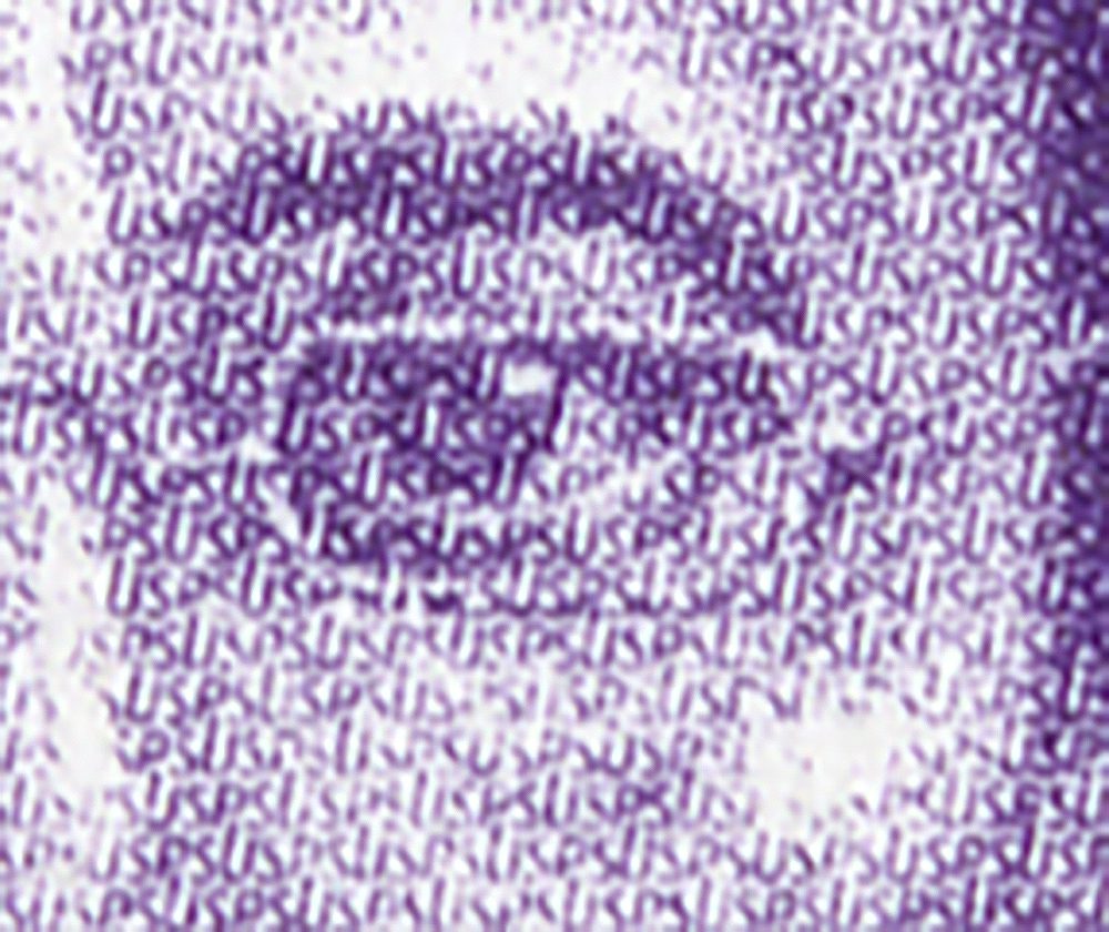 A close-up of Varela’s eye showing the USPS microprinting.