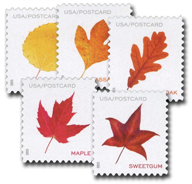 #NW2511 - 2025 56c Vibrant Leaves (from sheet)