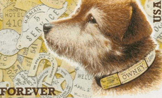 Owney the Postal Dog E-book