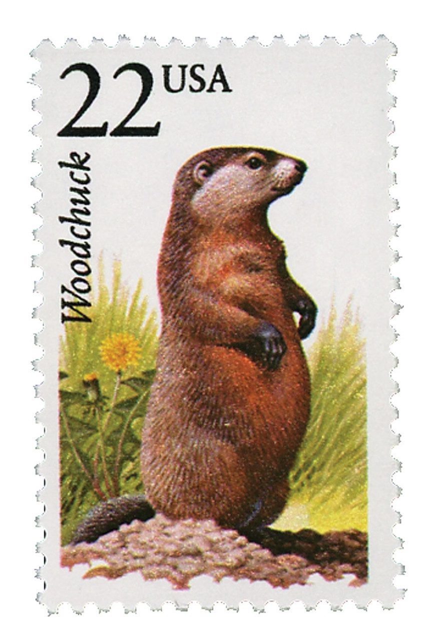 # 2307 - 1987 22c North American Wildlife: Woodchuck