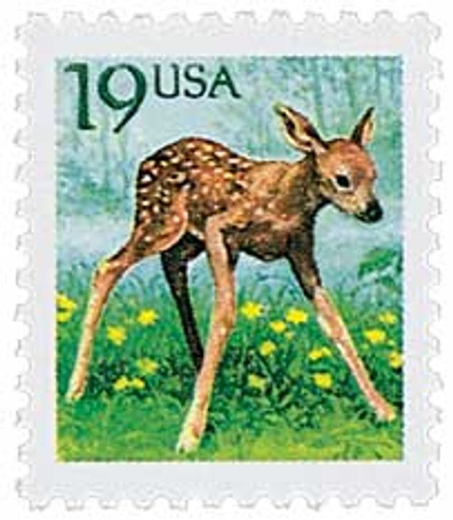 #2479 - 1991 19c Fawn