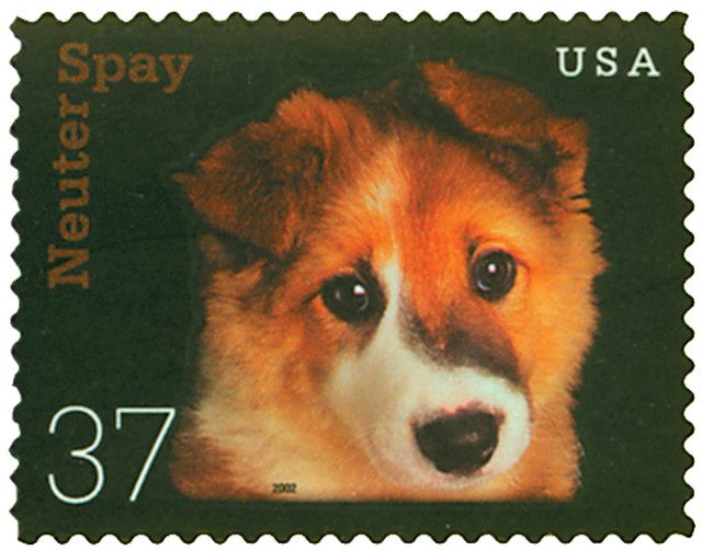 2002 37c Neuter and Spay: Puppy