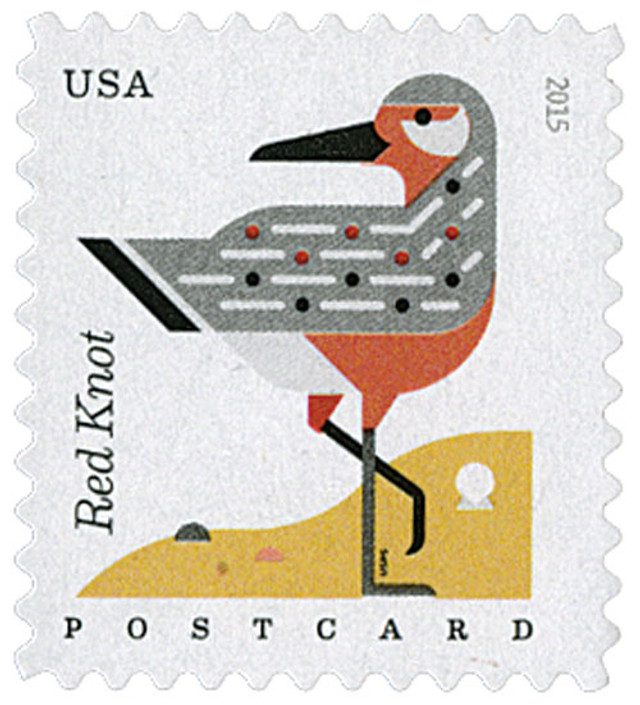 #4991 - 2015 35c Coastal Birds: Red Knot