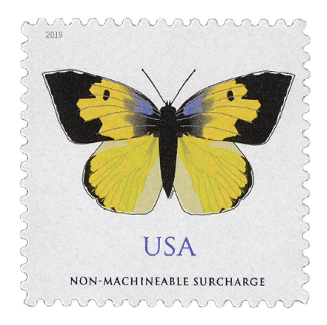 #5346 - 2019 70c California Dogface Butterfly