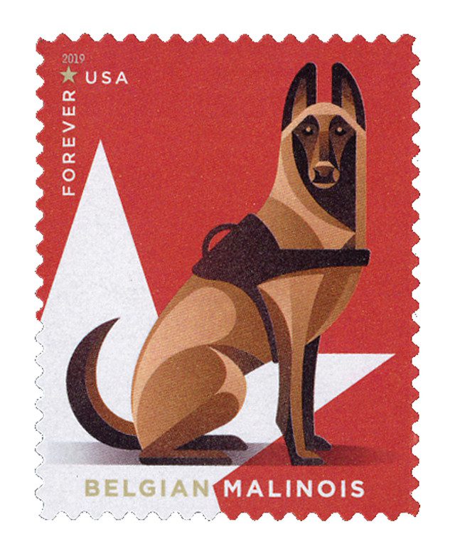 2019 First-Class Forever Stamp - Military Working Dogs: Belgian Malinois