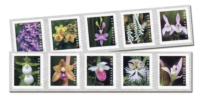 #5435-44
2020 First Class Forever Stamp - Wild Orchids (Coil)