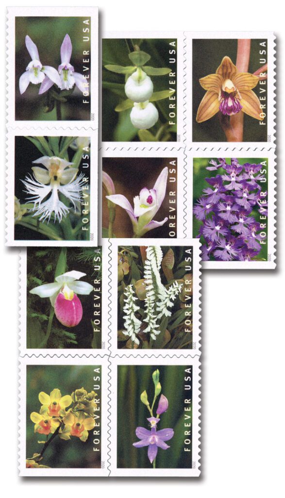 #5445-54
2020 First-Class Forever Stamp - Wild Orchids (Booklet)