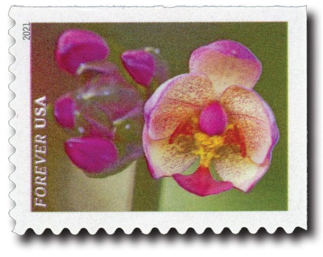 #5561
2021 First-Class Forever Stamps - Garden Beauty: Pink Moth Orchid