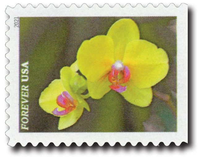 #5563
2021 First-Class Forever Stamps - Garden Beauty: Yellow Moth Orchid with Pink Center