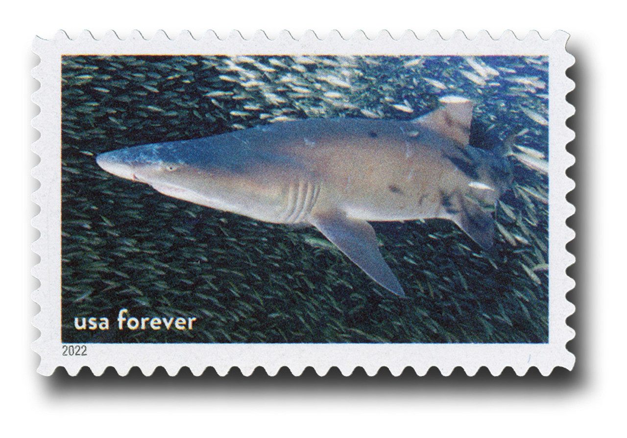 2022 First-Class Forever Stamp - National Marine Sanctuaries: Sand Tiger Shark