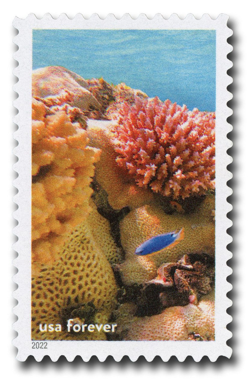 # 5713o - 2022 First-Class Forever Stamp - National Marine Sanctuaries: Corals & Fish, Rose Atoll American Samoa