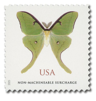 #6031
2025 $1.27 Luna Moth
